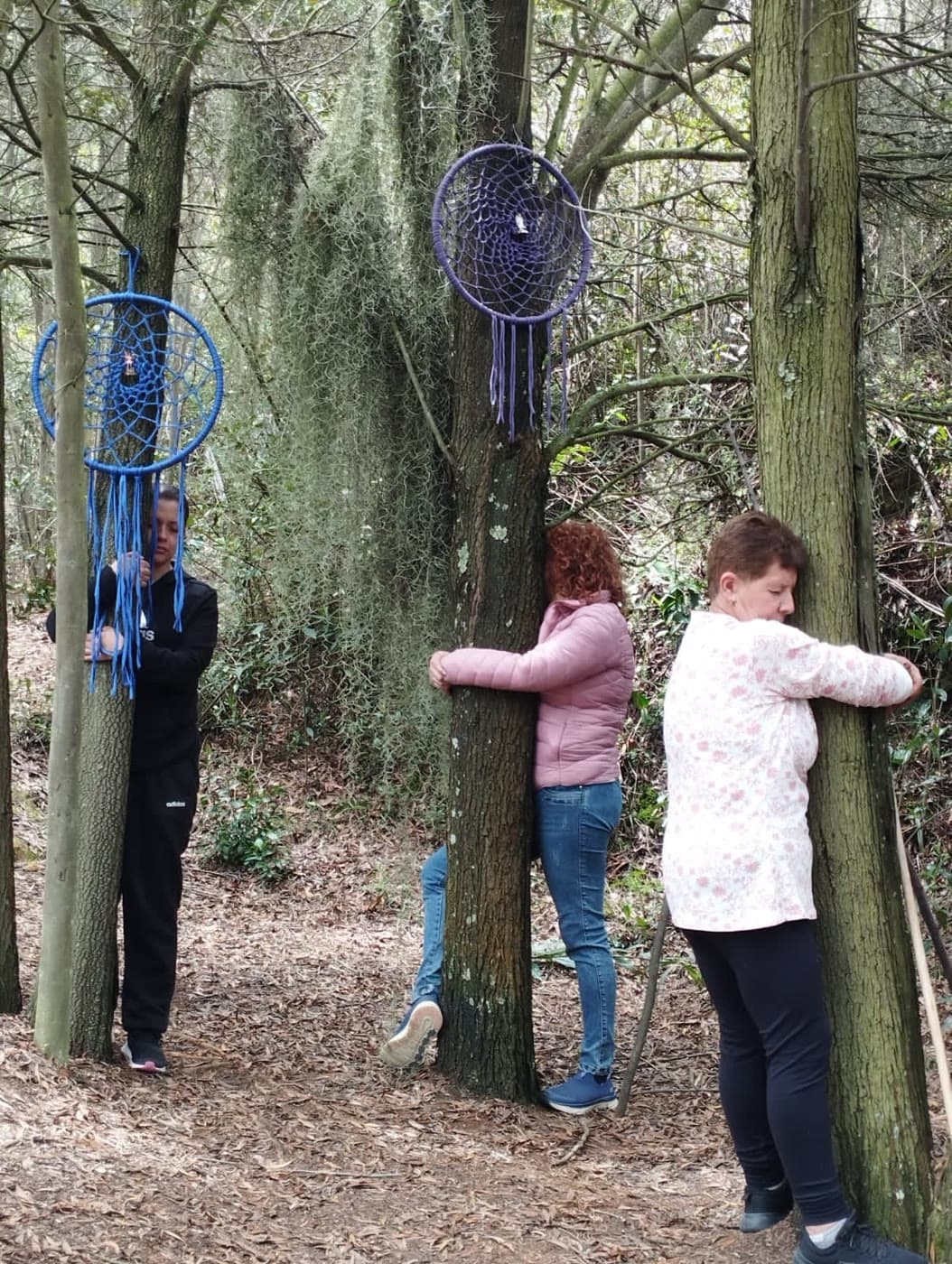 Participantes abrazando árboles en el bosque